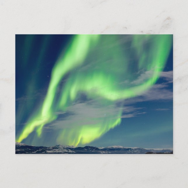 Spectacular Aurora borealis Northern Lights Postcard (Front)