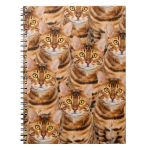 Spectacular Bengal Kittens Notebook