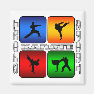 Spectacular Karate Magnet
