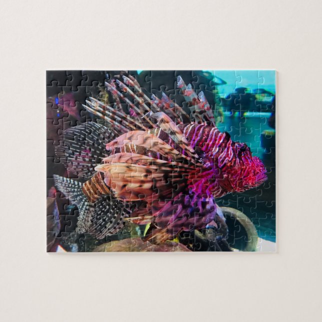 Spectacular Lionfish Jigsaw Puzzle (Horizontal)