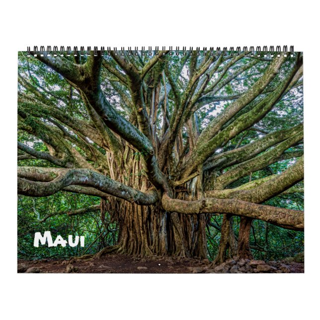 Spectacular Maui Calendar (Cover)