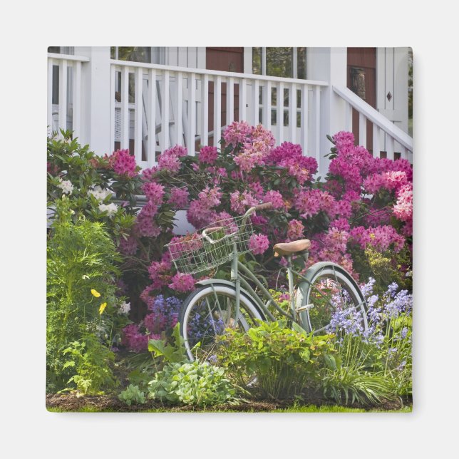 Spectacular spring bloom, whimsical antique magnet (Front)