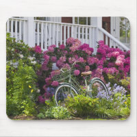 Spectacular spring bloom, whimsical antique