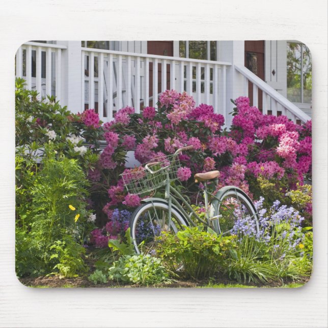 Spectacular spring bloom, whimsical antique mouse pad (Front)
