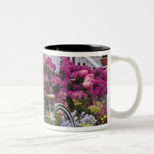 Spectacular spring bloom, whimsical antique Two-Tone coffee mug