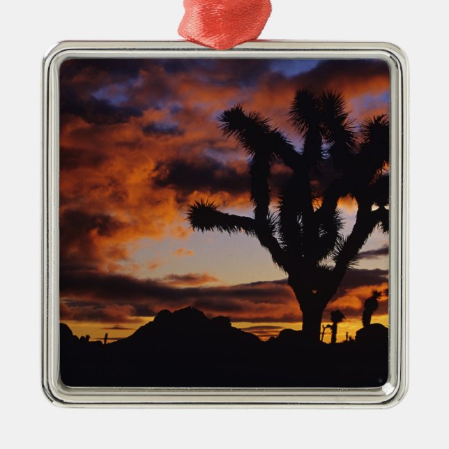Spectacular Sunrise at Joshua Tree National Metal Tree Decoration (Front)