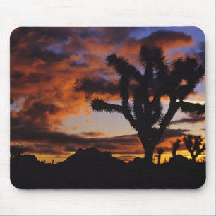 Spectacular Sunrise at Joshua Tree National Mouse Pad