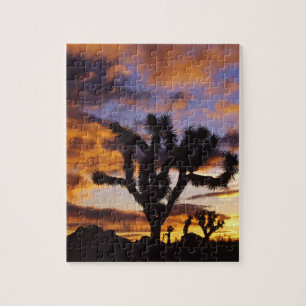 Spectacular Sunrise at Joshua Tree National Park Jigsaw Puzzle