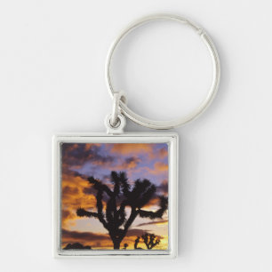 Spectacular Sunrise at Joshua Tree National Park Key Ring