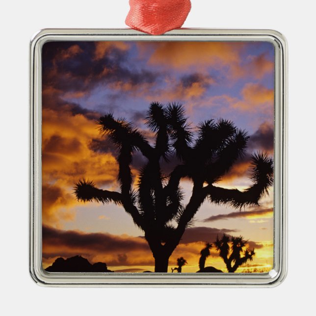 Spectacular Sunrise at Joshua Tree National Park Metal Tree Decoration (Front)