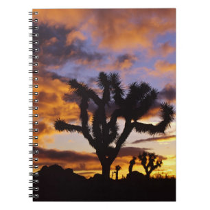 Spectacular Sunrise at Joshua Tree National Park Spiral Notebook