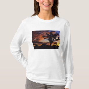 Spectacular Sunrise at Joshua Tree National T-Shirt