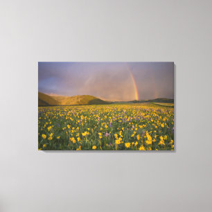 Spectacular wildflower meadow at sunrise in the 2 canvas print