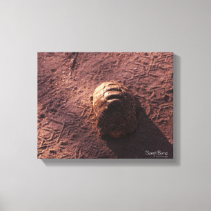 Speed Bump Canvas Print