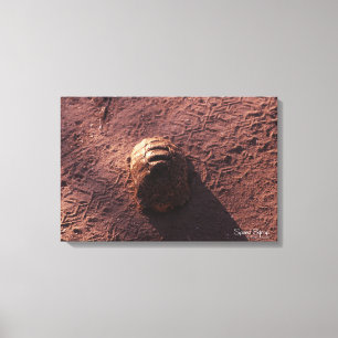Speed Bump Canvas Print