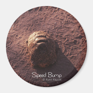 Speed Bump Magnet