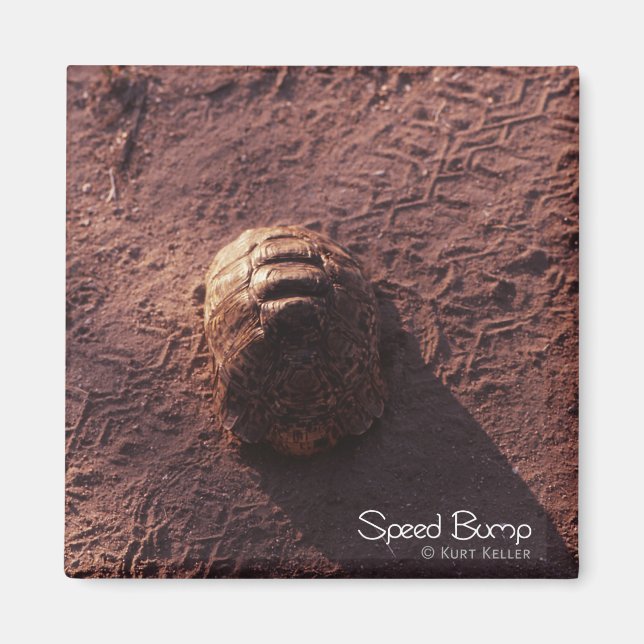 Speed Bump Magnet (Front)