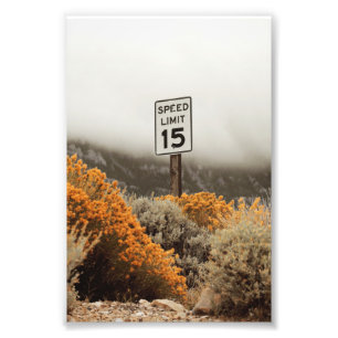 Speed Limit 15 Sign With Golden Sagebrush 
