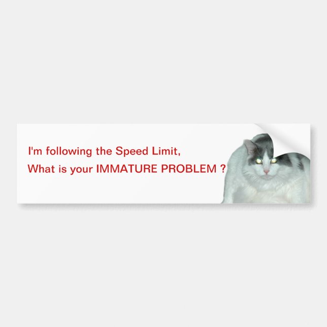 Speed limit Immature tailgators cat Bumper Sticker (Front)