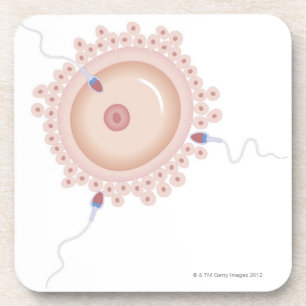 Sperm Containing Mutated Gene Coaster