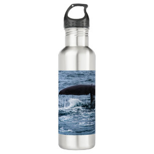 Sperm Whale 710 Ml Water Bottle