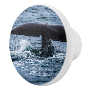 Sperm Whale Ceramic Knob