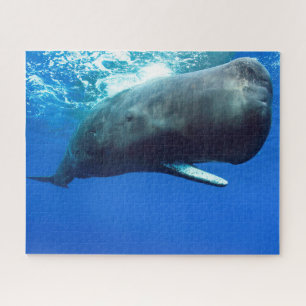 Sperm Whale Jigsaw Puzzle