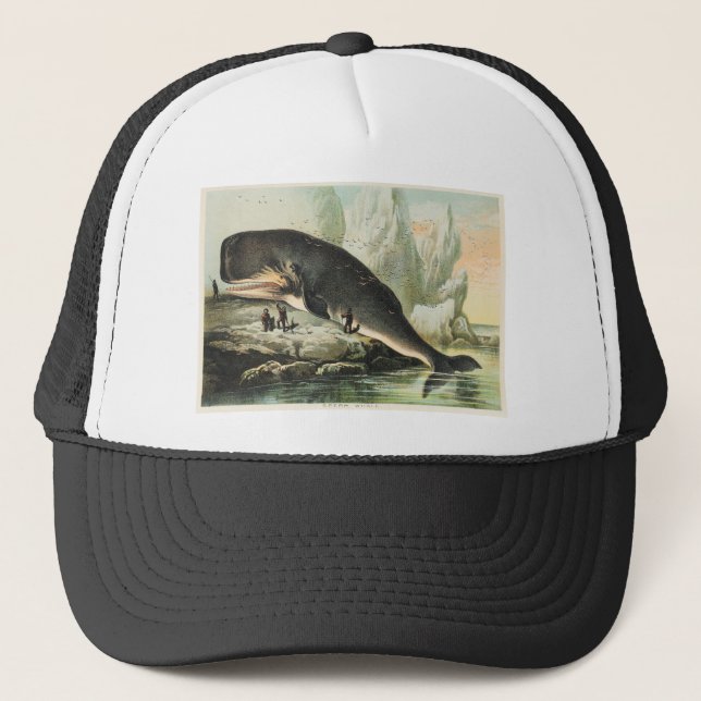 Sperm whale Johnson's household book of nature Trucker Hat (Front)