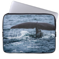 Sperm Whale