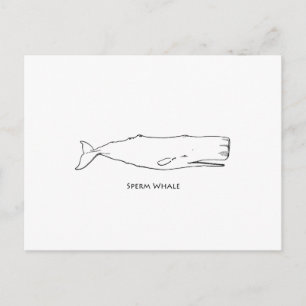 Sperm Whale (line art) Postcard