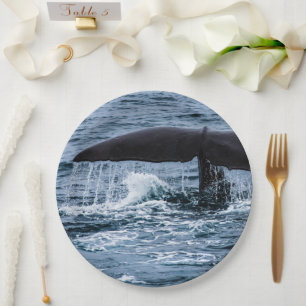 Sperm Whale Paper Plate