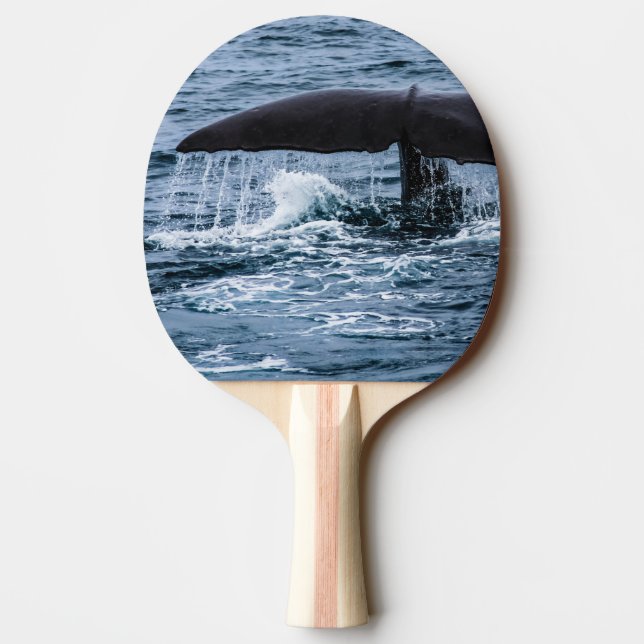 Sperm Whale Ping Pong Paddle (Back)