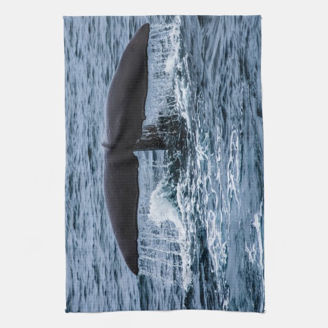 Sperm Whale Tea Towel (Vertical)