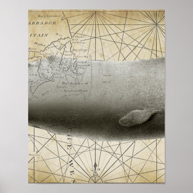 Sperm Whale Vintage Nautical Map Part2 Poster (Front)