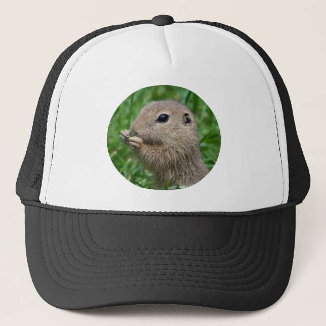 Spermophilus citellus trucker hat (Front)