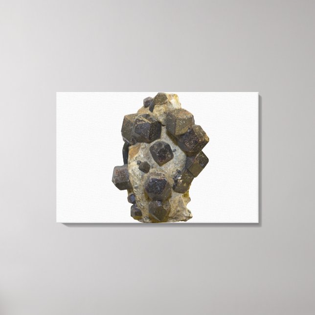 Spessartite in Matrix Canvas Print (Front)