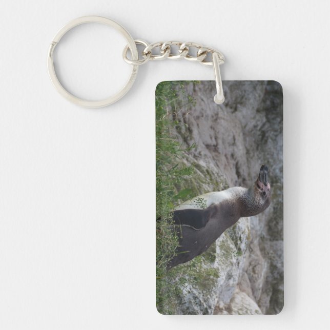 Spheniscus humboldti key ring (Front)