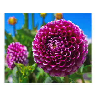 Spherical Photo Print