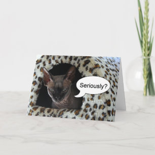 Sphinx Cat Birthday Humour Card