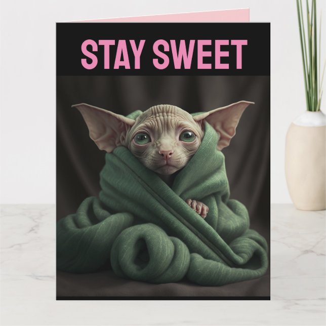SPHINX CUTE HAIRLESS CAT BIG VALENTINE'S DAY CARD (Front)