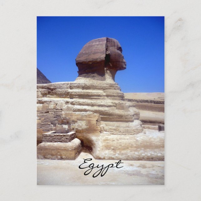 sphinx face postcard (Front)