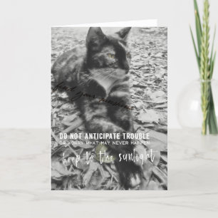 SPHINX Greeting Card