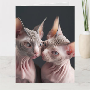 SPHINX HAIRLESS CAT CATS BIG BIRTHDAY CARD