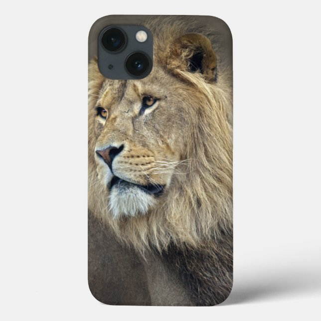 Sphinx iPad Case (Back)
