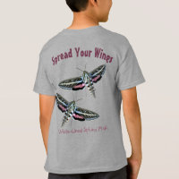 Sphinx Moth Insect Photo Back Template
