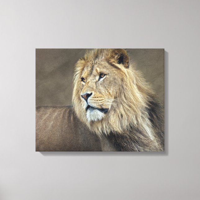 Sphinx Wrapped Canvas (Front)