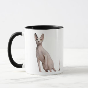 Sphynx (13 months old) mug