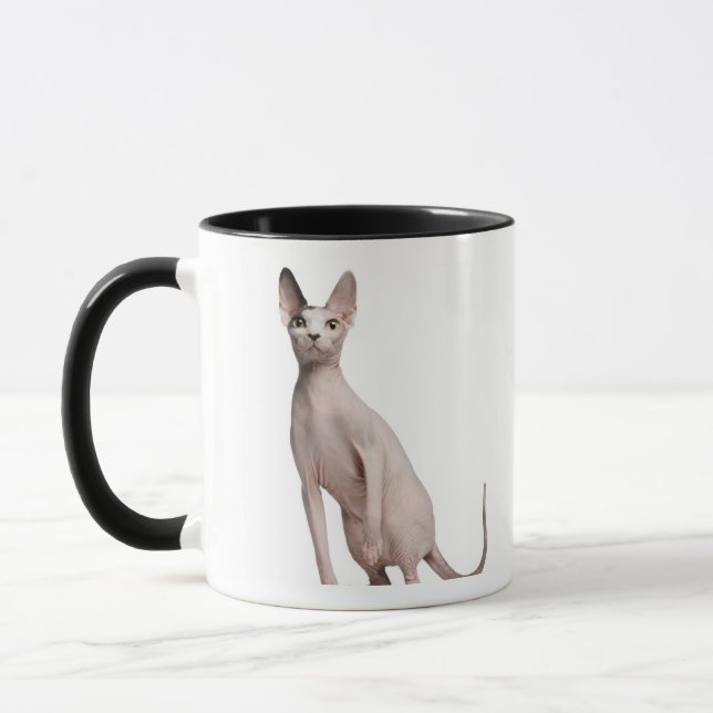 Sphynx (13 months old) mug (Left)