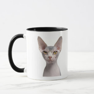 Sphynx (7 months old) mug