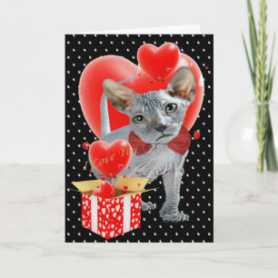 Sphynx  Box of Hearts Valentine Cards